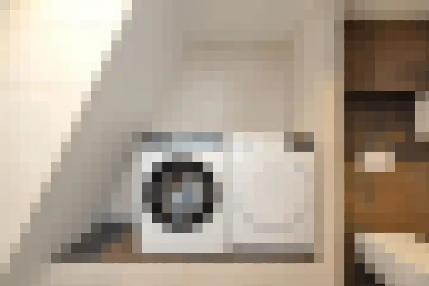 Jonathanlaan 30 Blokker thumbnail 32
