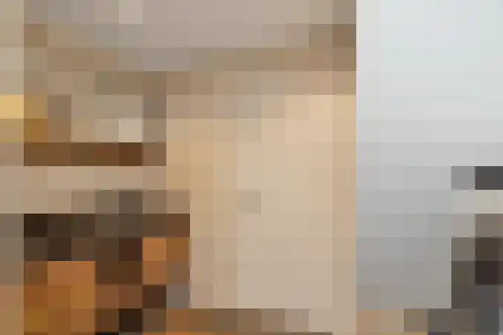 Jonathanlaan 30 Blokker thumbnail 35