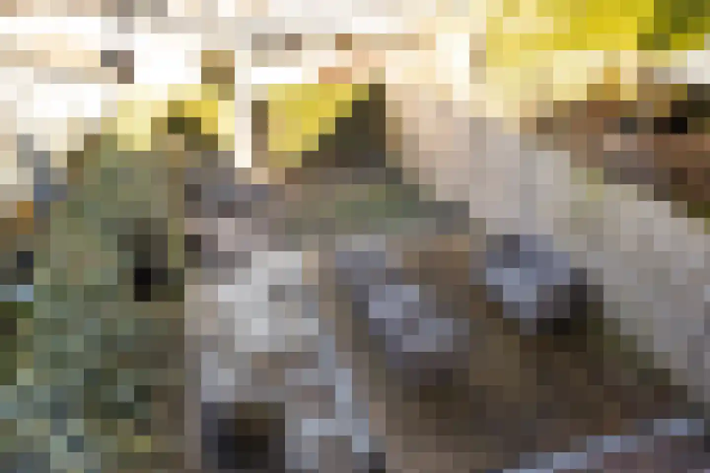 Jonathanlaan 30 Blokker thumbnail 45