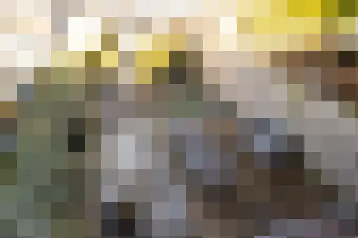 Jonathanlaan 30 Blokker thumbnail 45