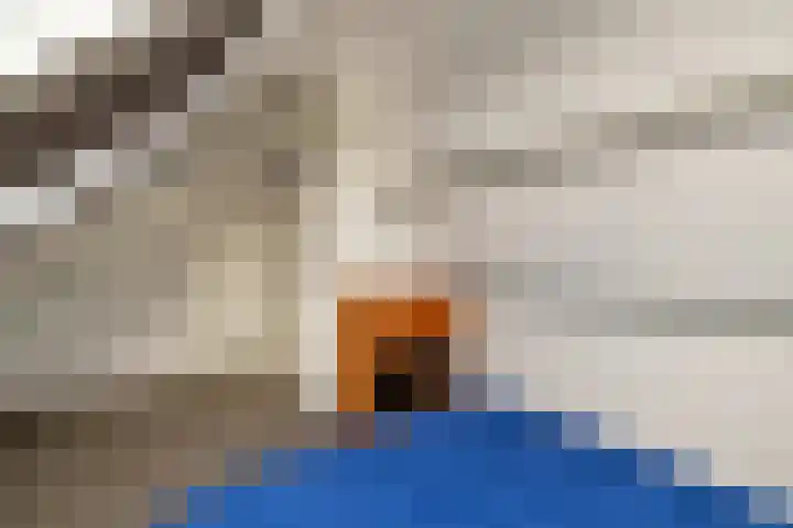 Jonathanlaan 30 Blokker thumbnail 50