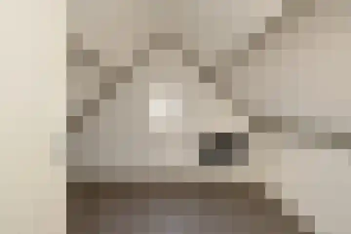 Jonathanlaan 30 Blokker thumbnail 52