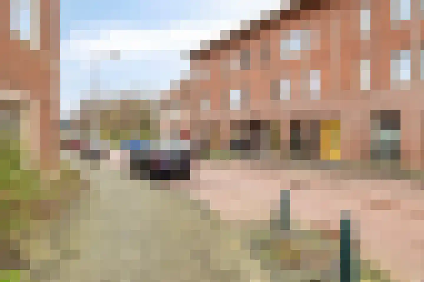 Jonathanstraat 107 Den Haag thumbnail 38