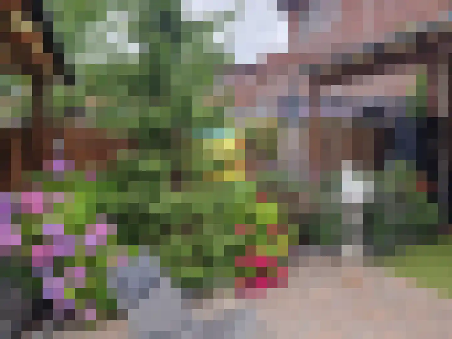 Jonathanstraat 107 Den Haag thumbnail 43