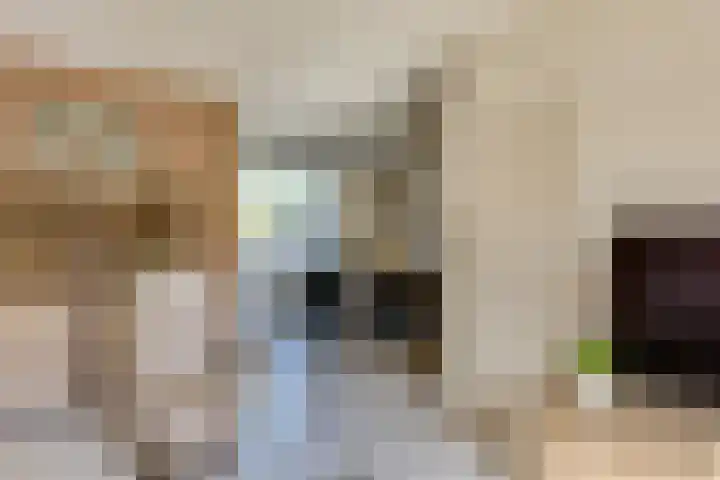 Jonathanstraat 15 Eindhoven thumbnail 11