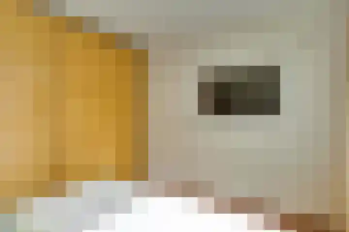 Jonathanstraat 15 Eindhoven thumbnail 28