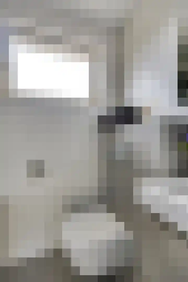 Jonathanstraat 15 Eindhoven thumbnail 34
