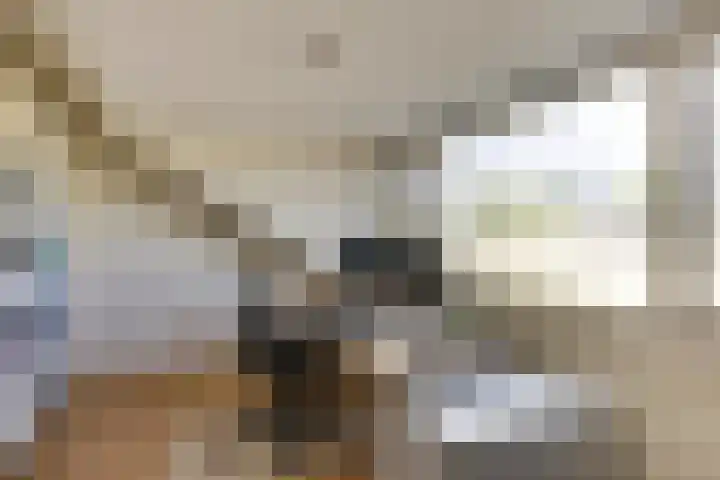 Jonathanstraat 15 Eindhoven thumbnail 38