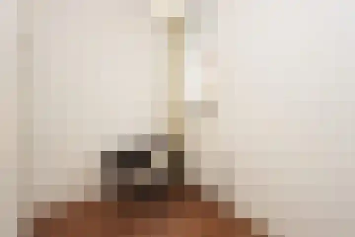 Jonckerhof 1 Nijmegen thumbnail 22