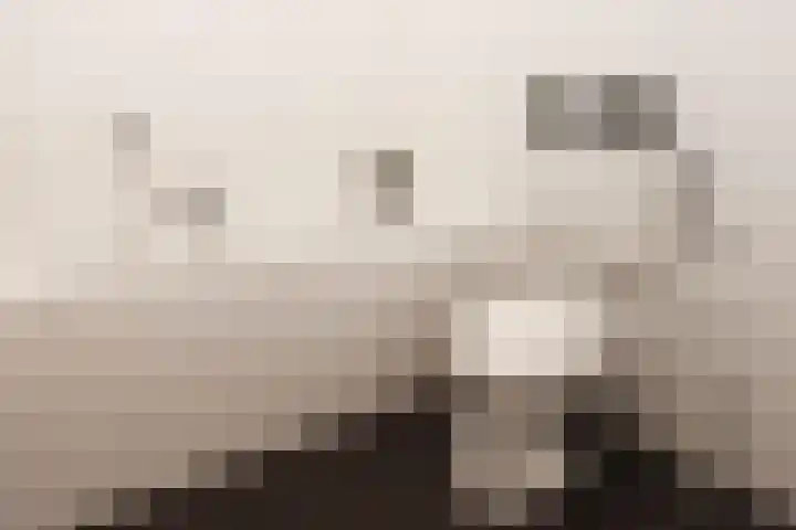 Jonckerhof 1 Nijmegen thumbnail 23