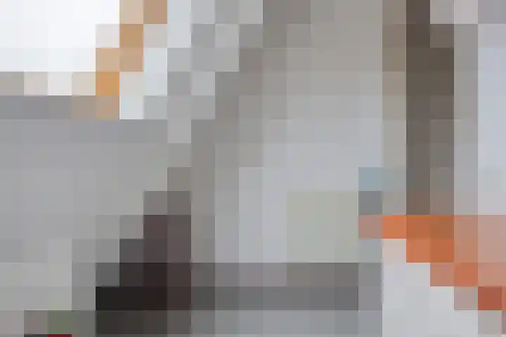 Jonckerhof 4 Nijmegen thumbnail 18