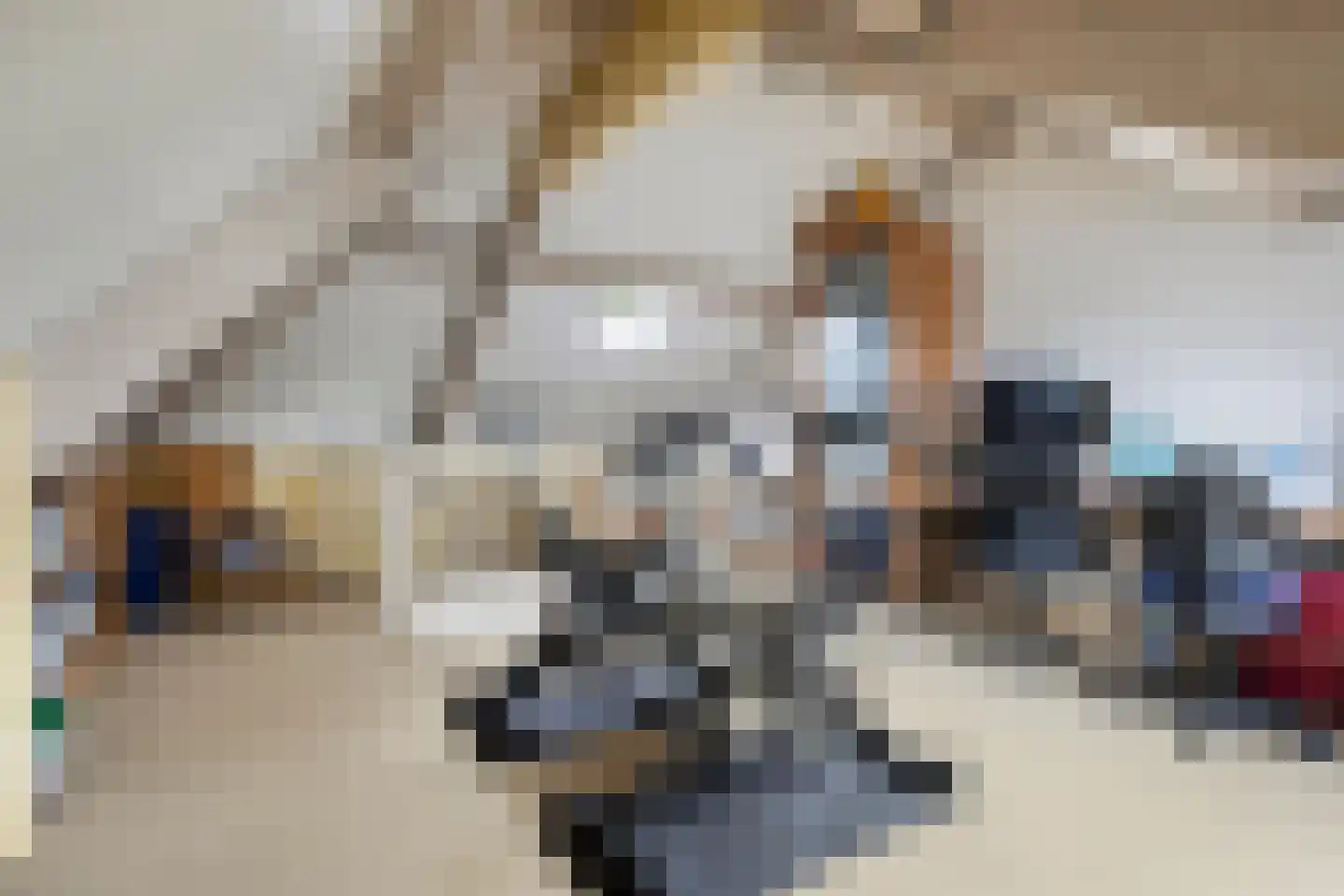 Jonckherenhof 17 Malden thumbnail 28