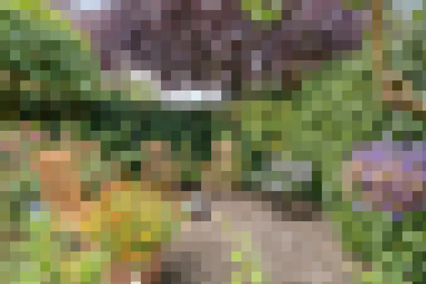 Jonckherenhof 17 Malden thumbnail 31