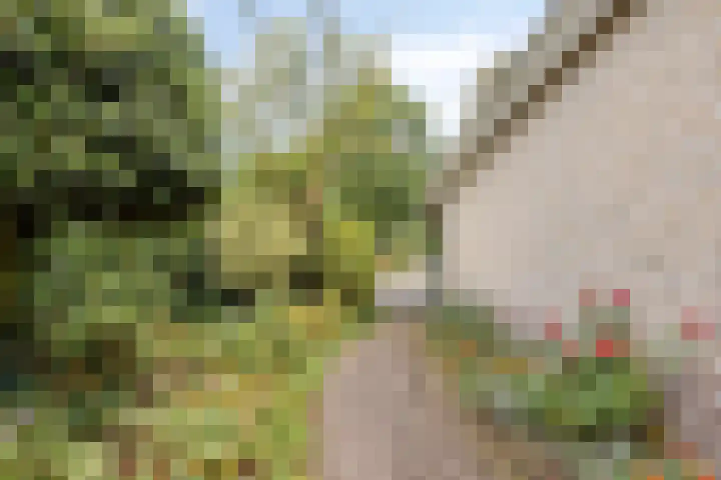 Jonckherenhof 17 Malden thumbnail 34