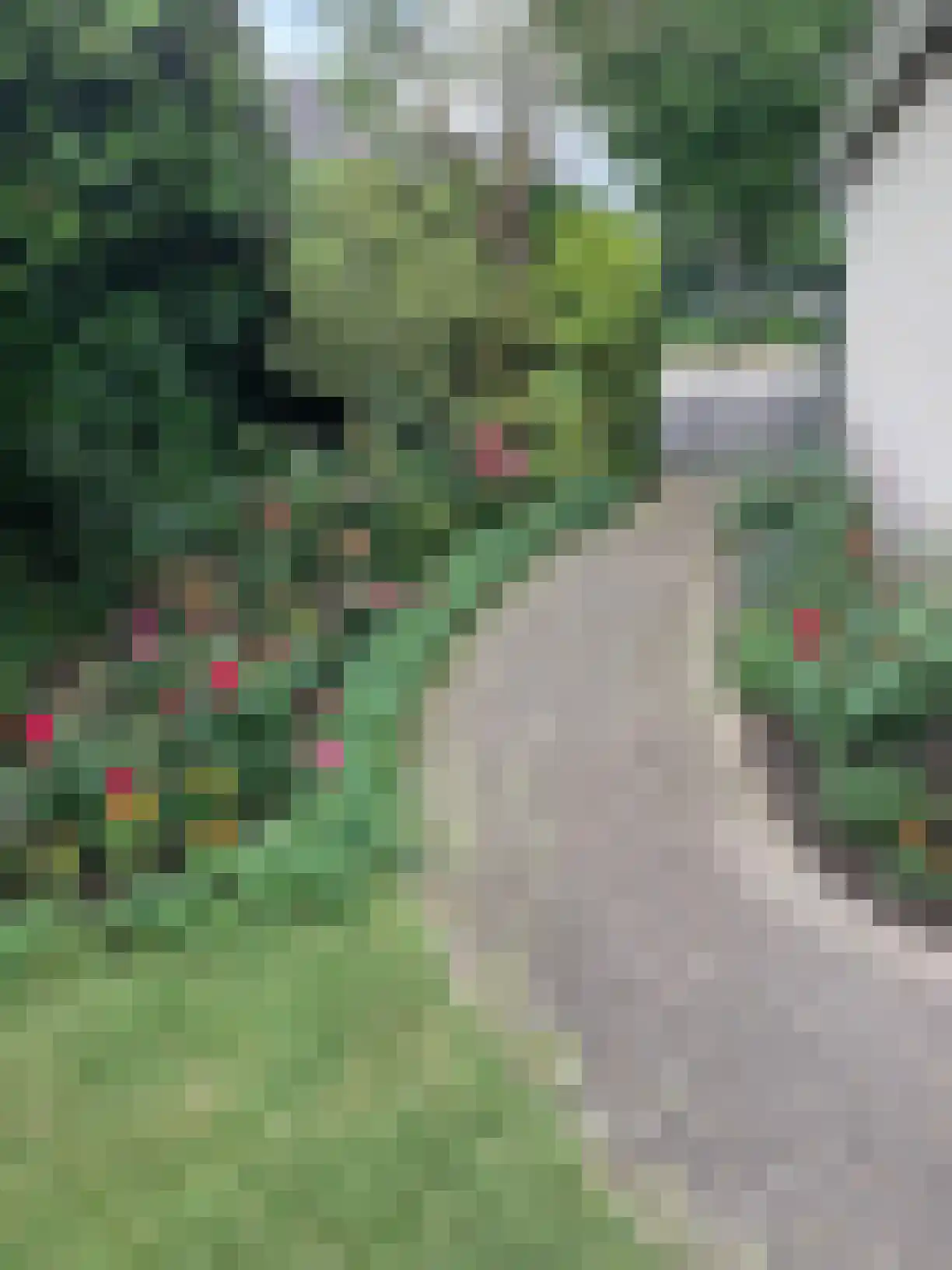 Jonckherenhof 17 Malden thumbnail 35