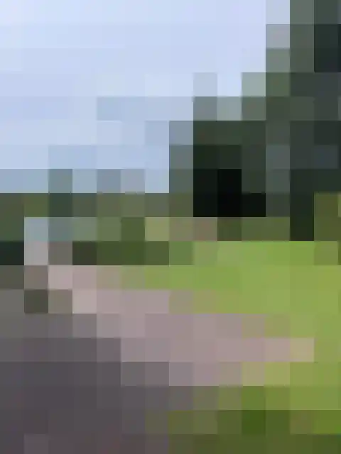 Jonenweg 5 R 114 Giethoorn thumbnail 20