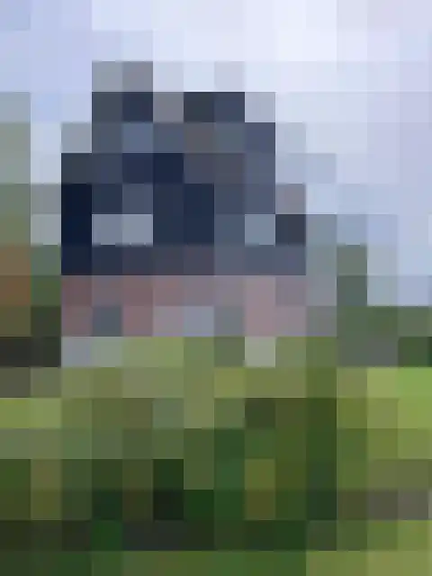 Jonenweg 5 R 114 Giethoorn thumbnail 26
