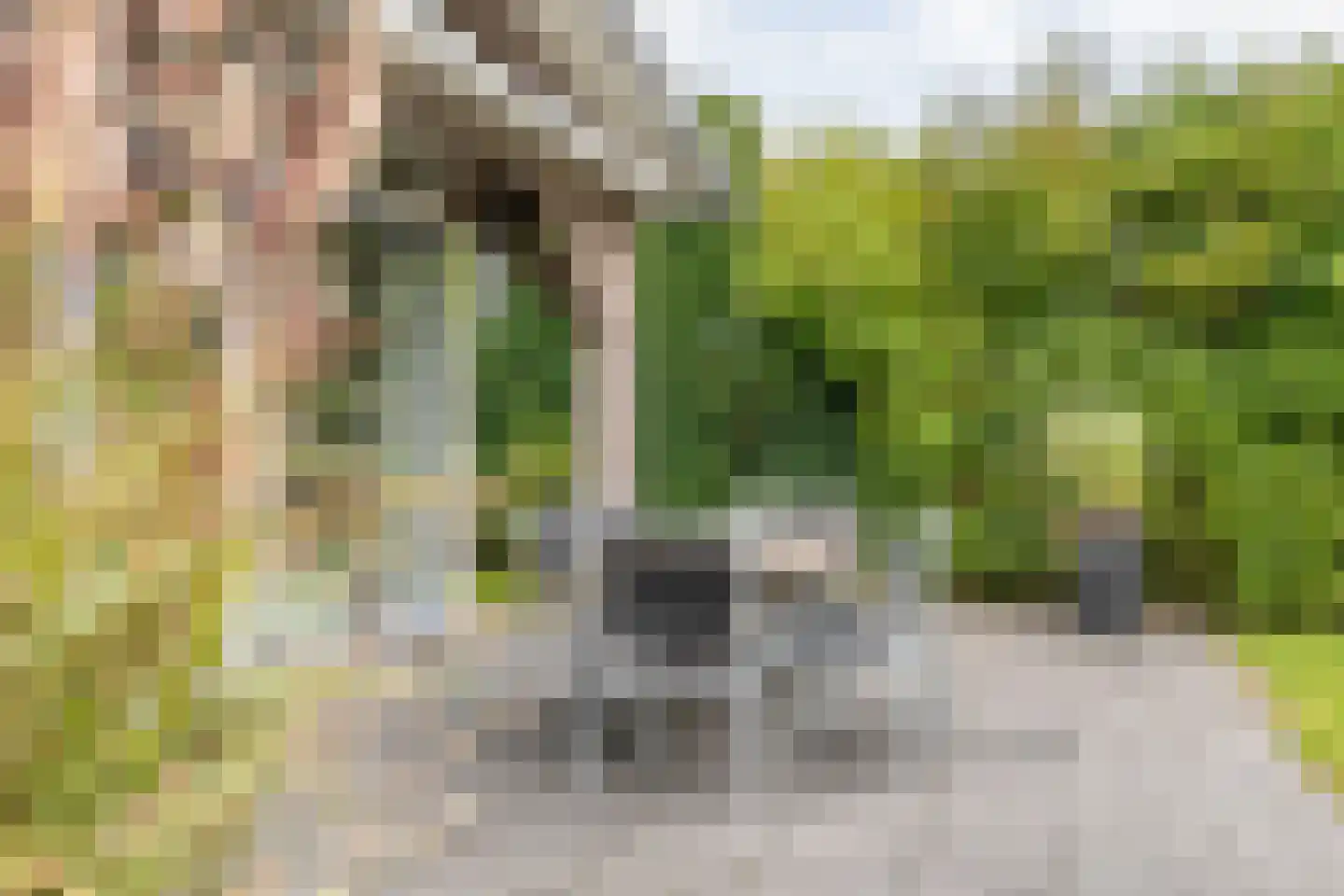 Jonenweg 5 R 118 Giethoorn thumbnail 42