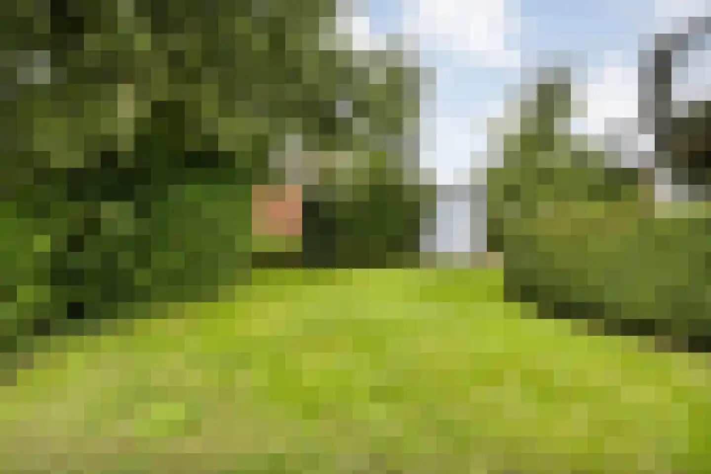 Jonenweg 5 R 118 Giethoorn thumbnail 50