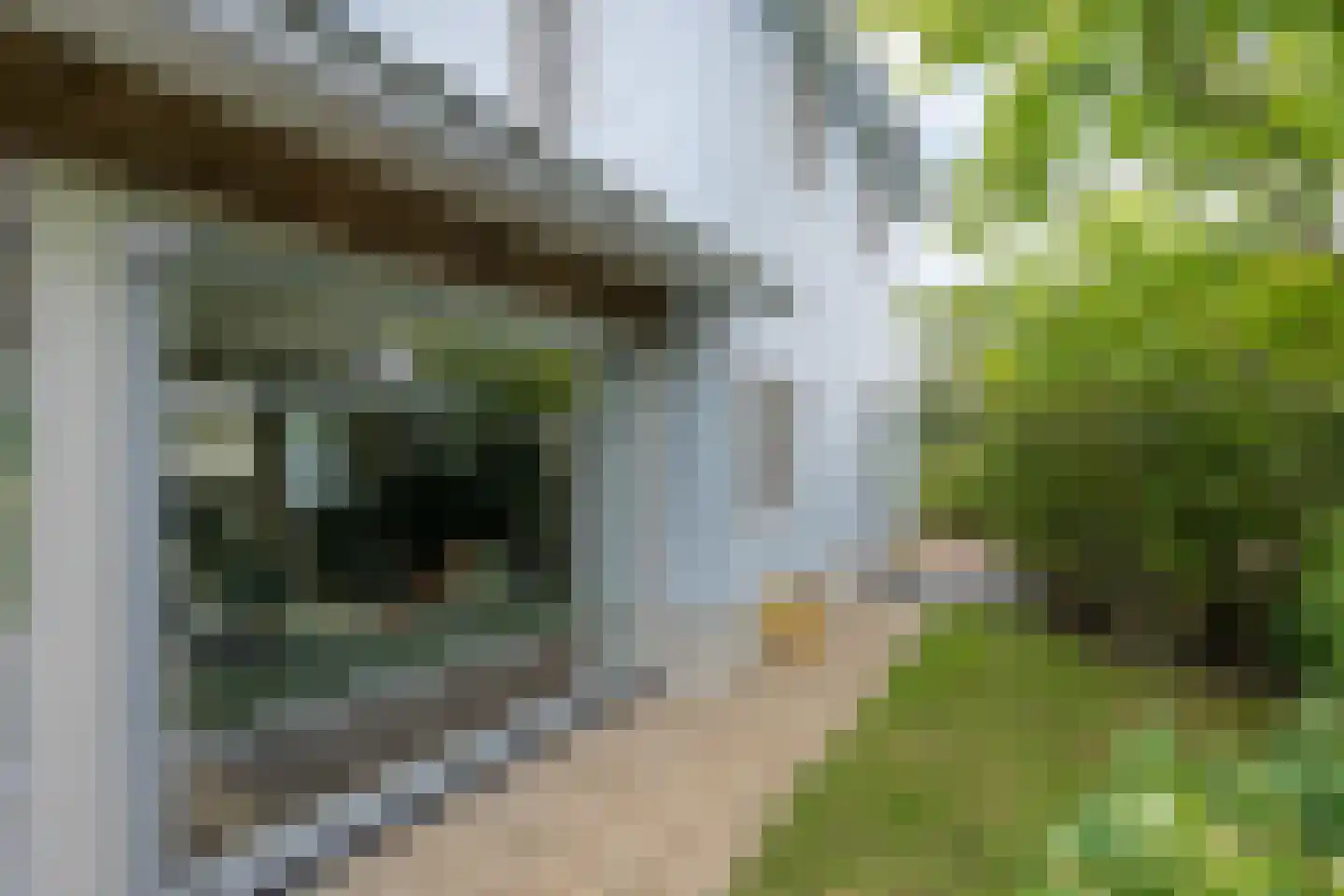 Jonenweg 5 R 118 Giethoorn thumbnail 53