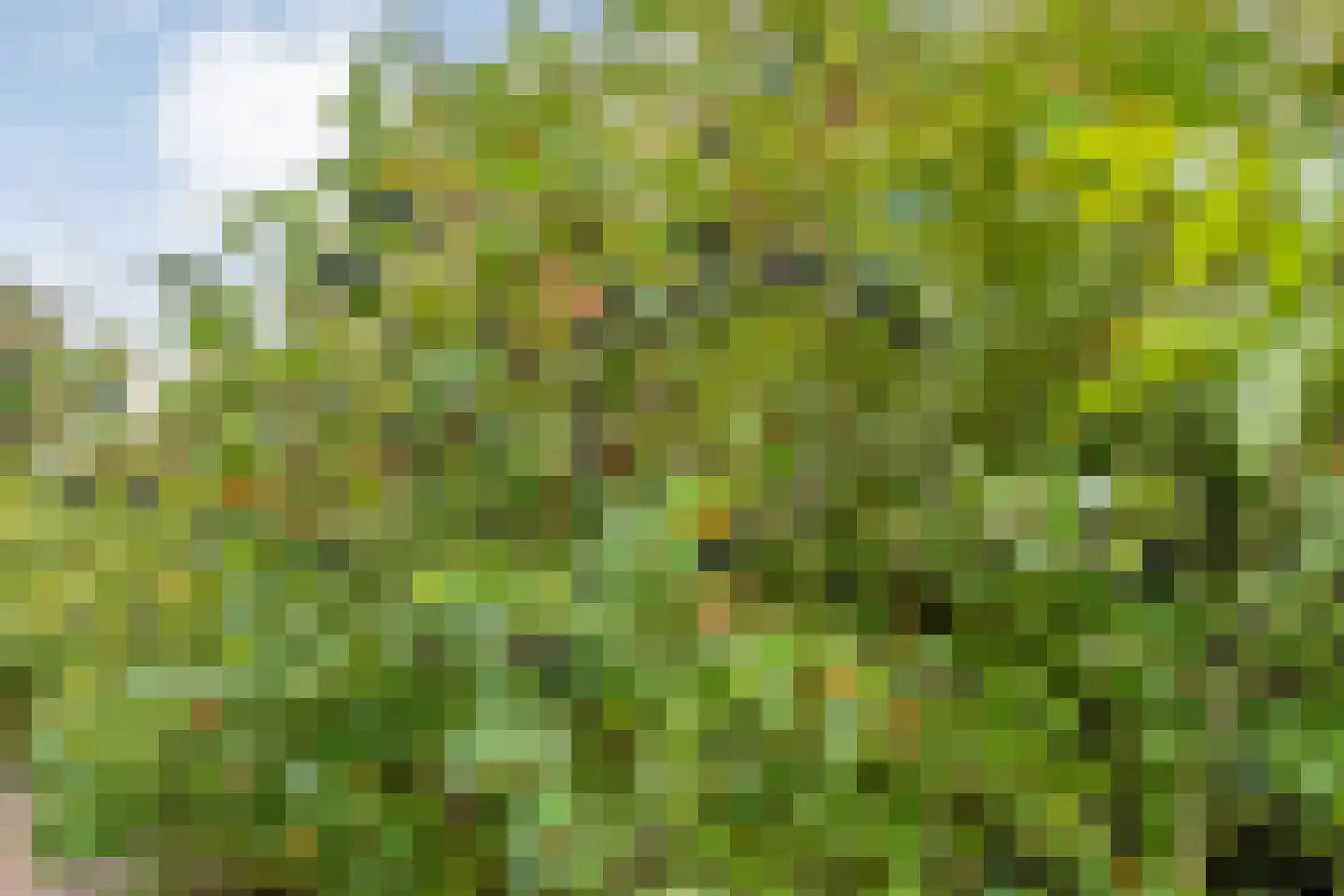 Jonenweg 5 R 118 Giethoorn thumbnail 66