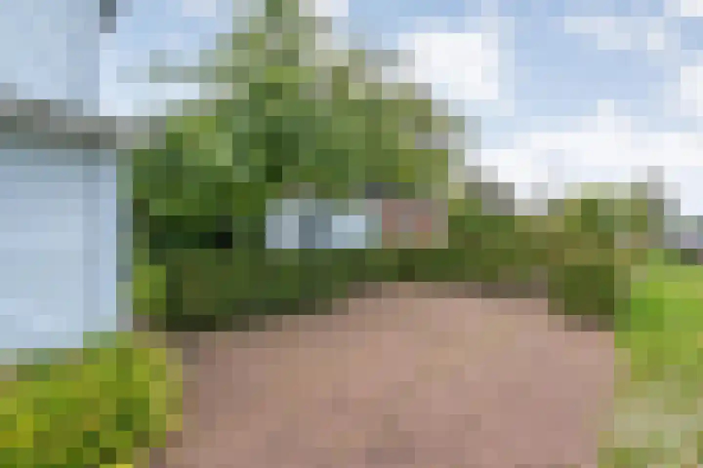 Jonenweg 5 R 118 Giethoorn thumbnail 7