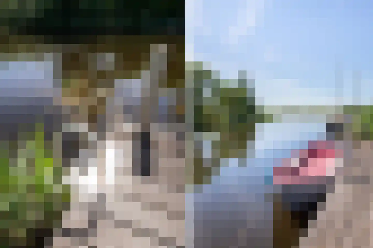 Jonenweg 5 R 133 Giethoorn thumbnail 36