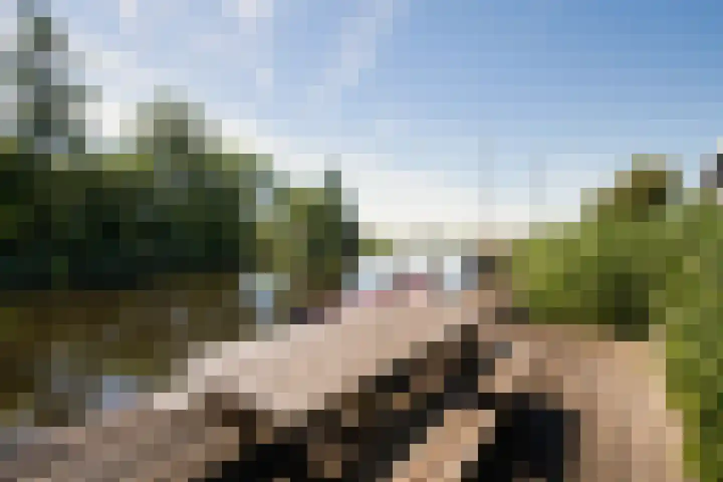 Jonenweg 5 R 133 Giethoorn thumbnail 38