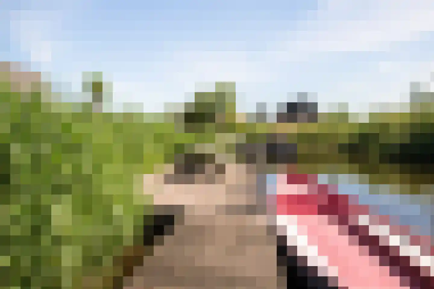 Jonenweg 5 R 133 Giethoorn thumbnail 40