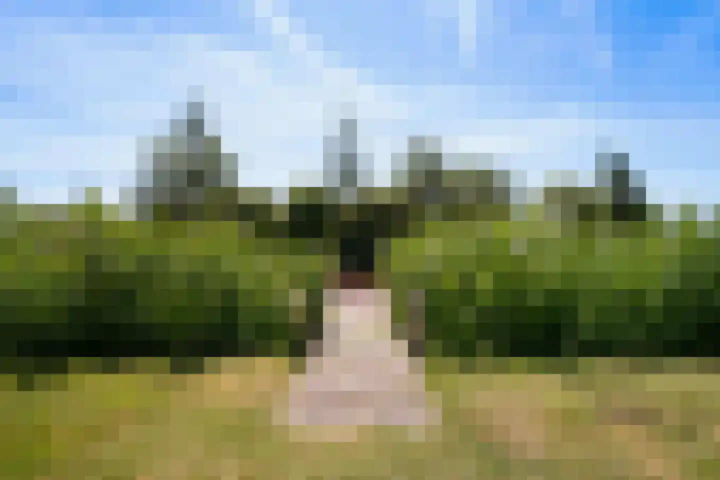 Jonenweg 5 R 133 Giethoorn thumbnail 41
