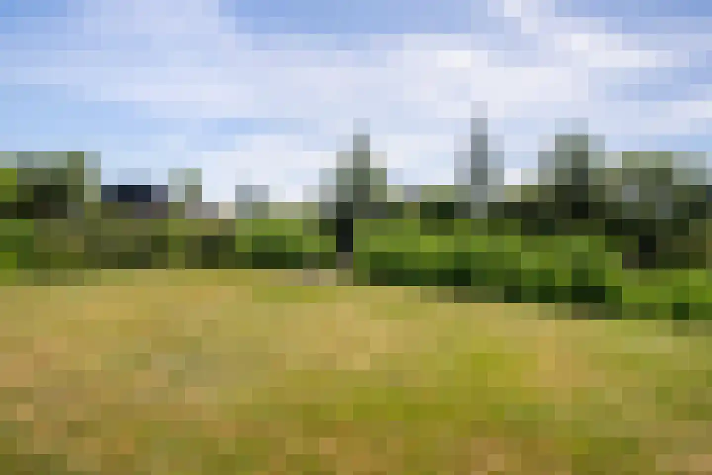 Jonenweg 5 R 133 Giethoorn thumbnail 42