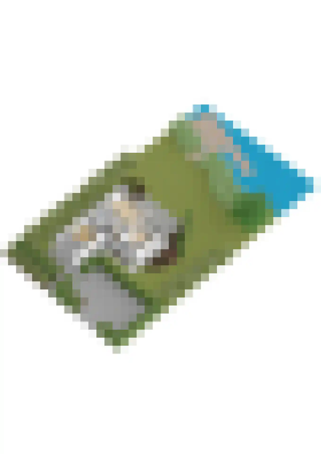 Jonenweg 5 R 133 Giethoorn thumbnail 52