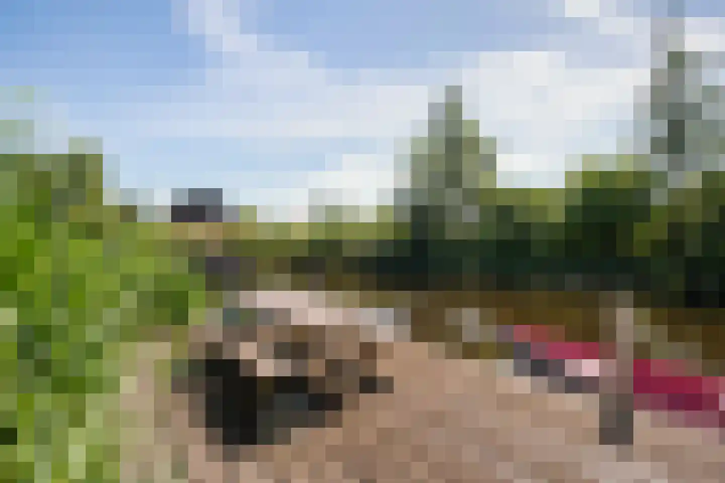 Jonenweg 5 R 133 Giethoorn thumbnail 6