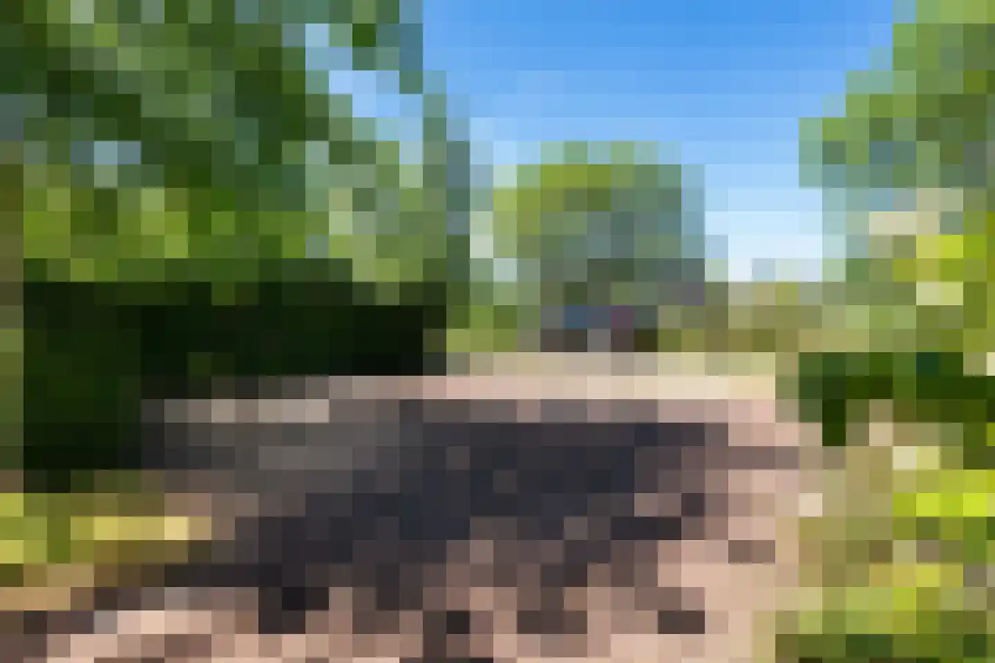 Jonenweg 5 R 137 Giethoorn thumbnail 38