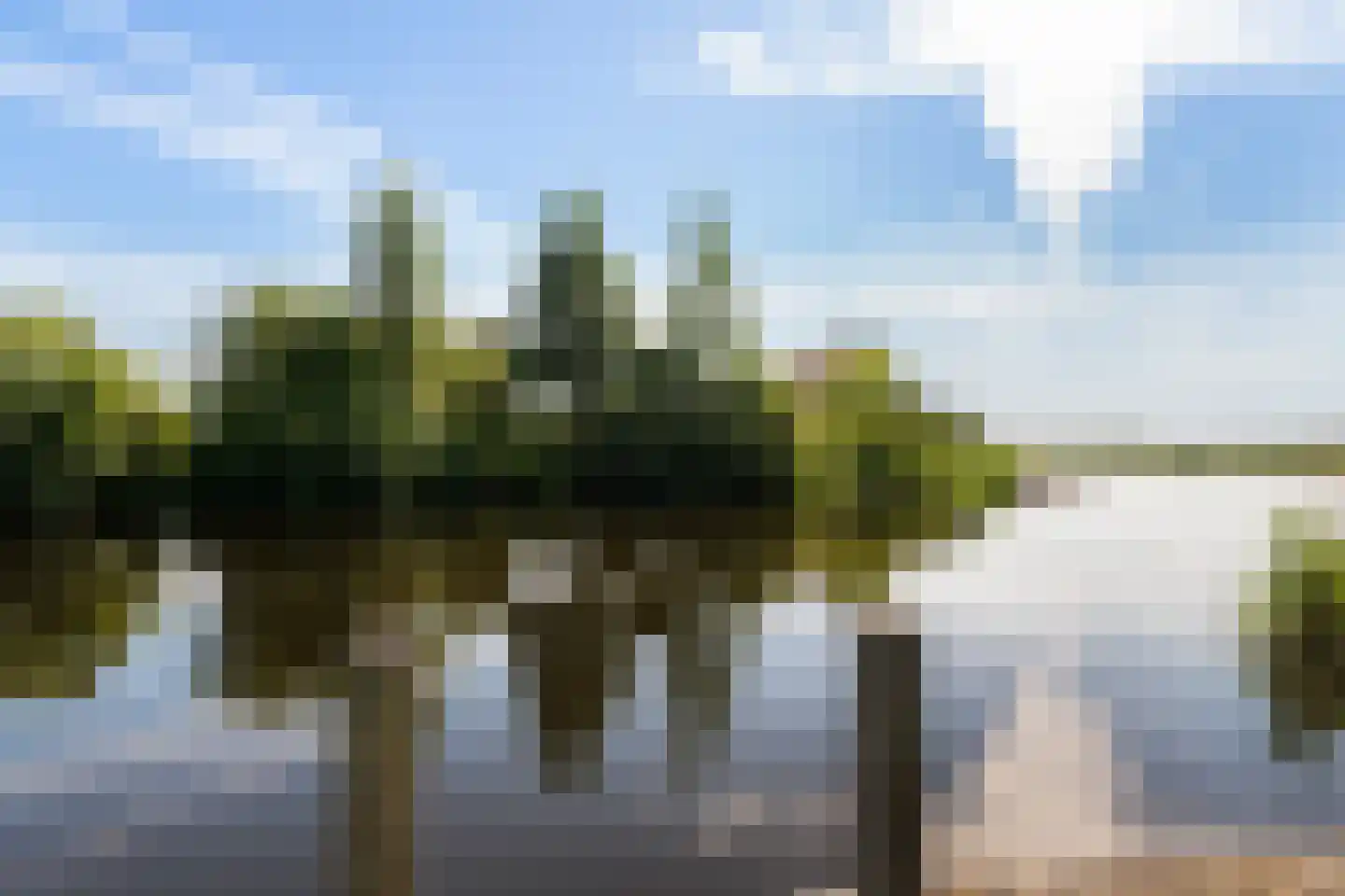 Jonenweg 5 R 137 Giethoorn thumbnail 4