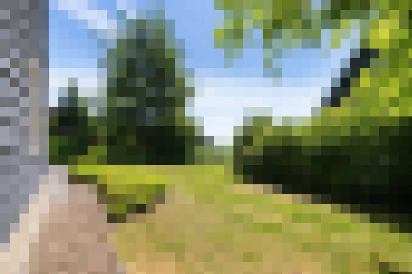 Jonenweg 5 R 137 Giethoorn thumbnail 42