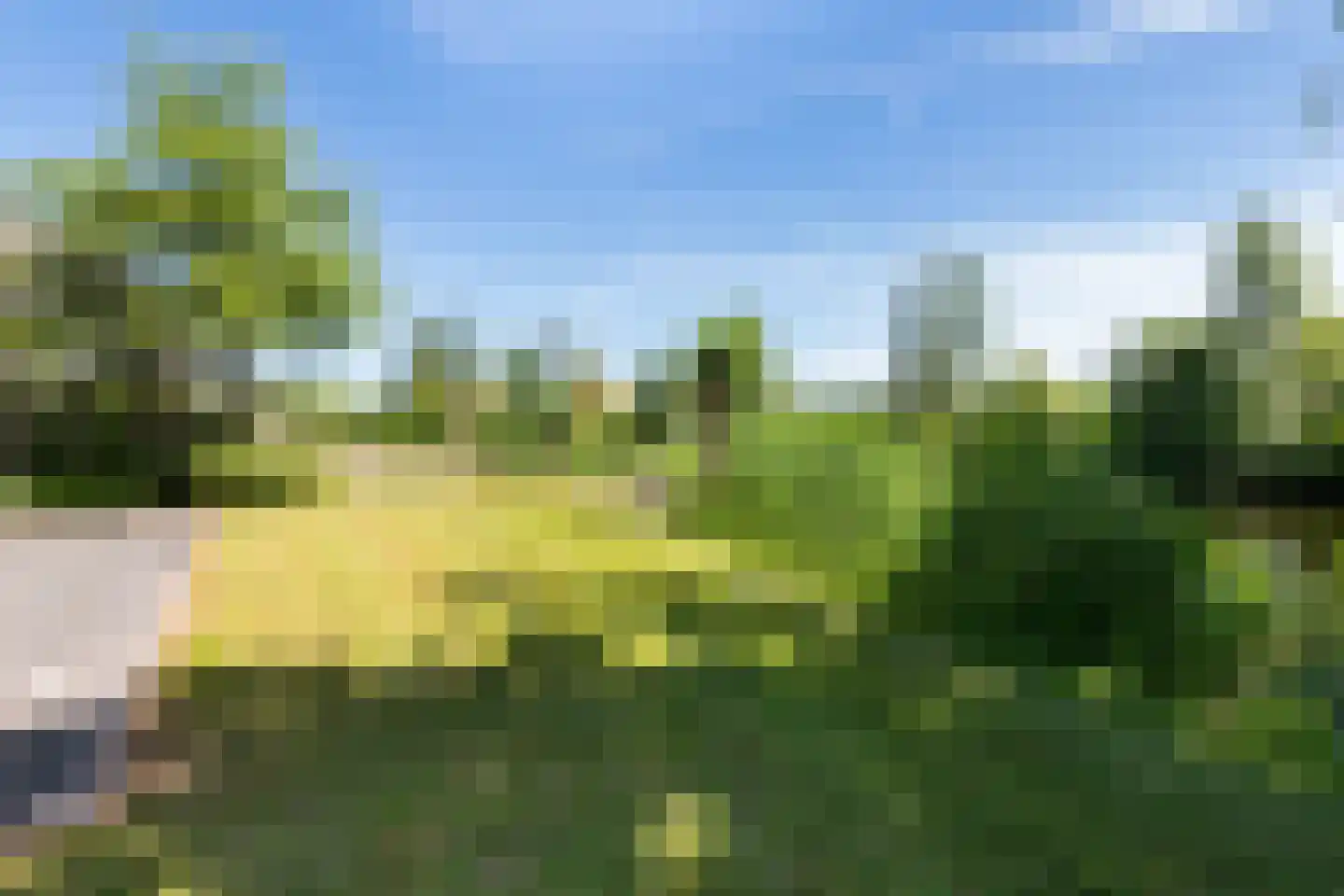 Jonenweg 5 R 137 Giethoorn thumbnail 47