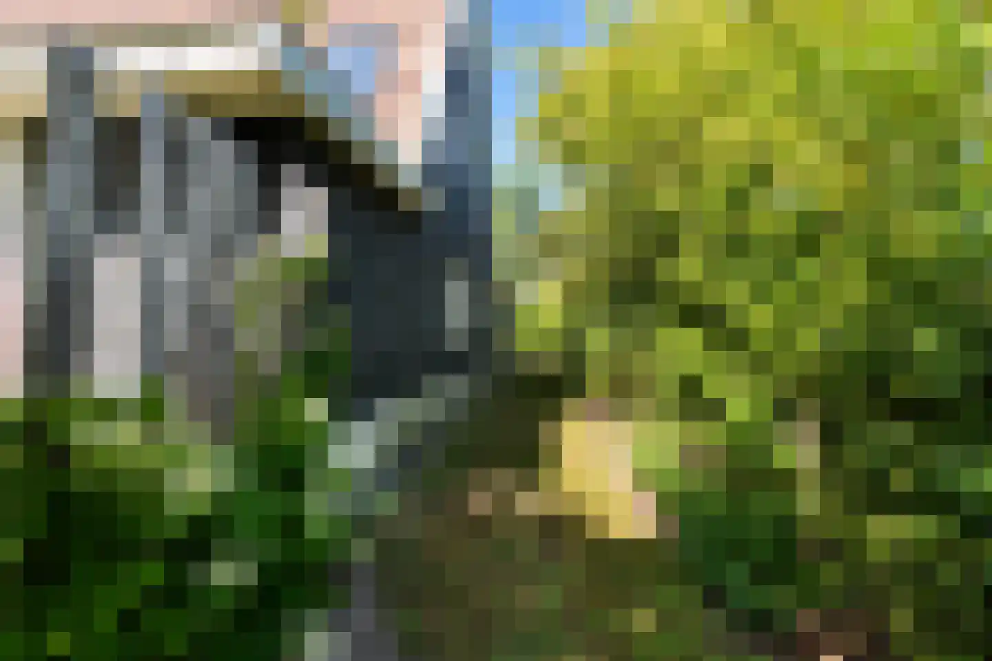 Jonenweg 5 R 137 Giethoorn thumbnail 48