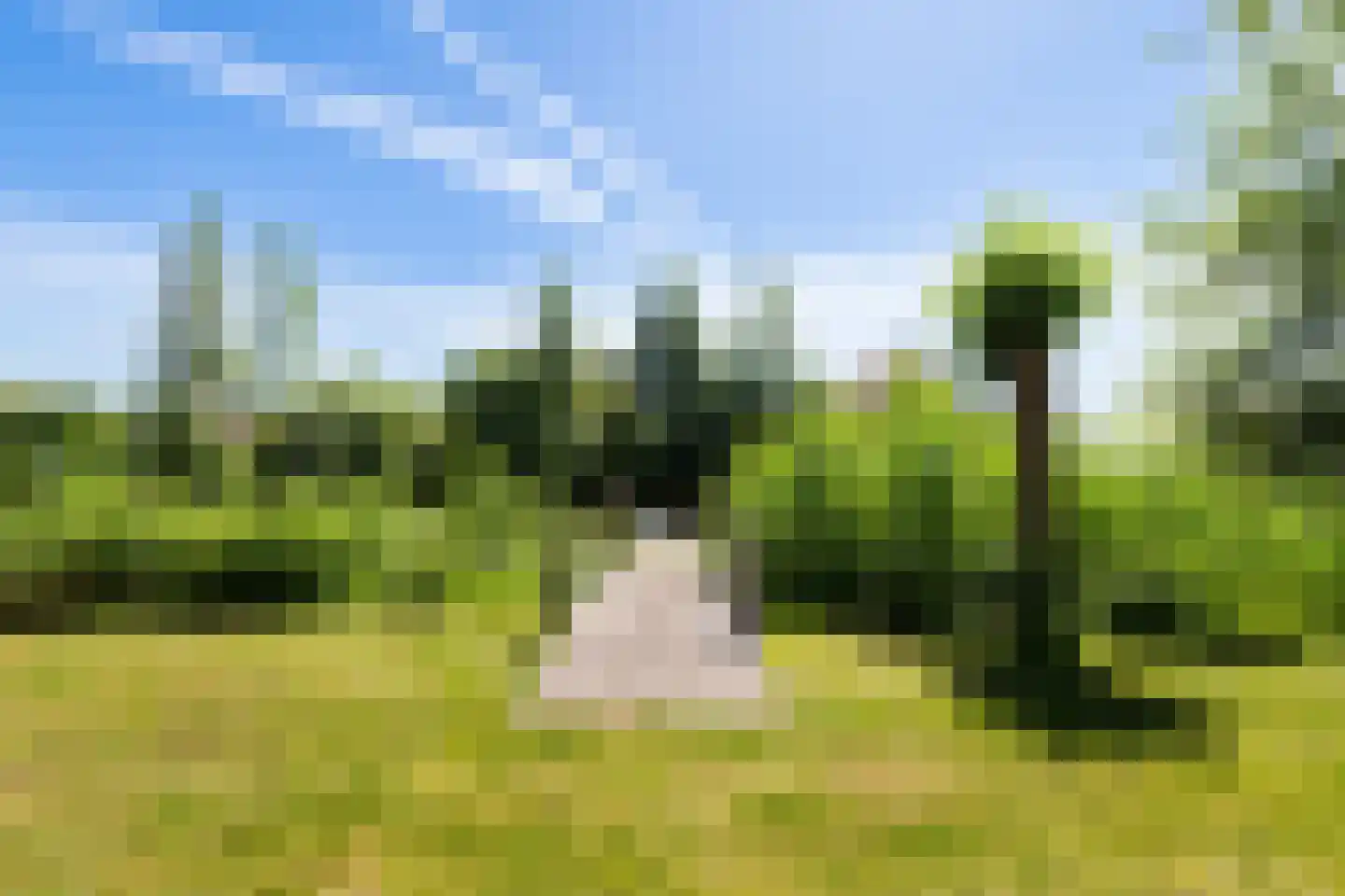 Jonenweg 5 R 137 Giethoorn thumbnail 6