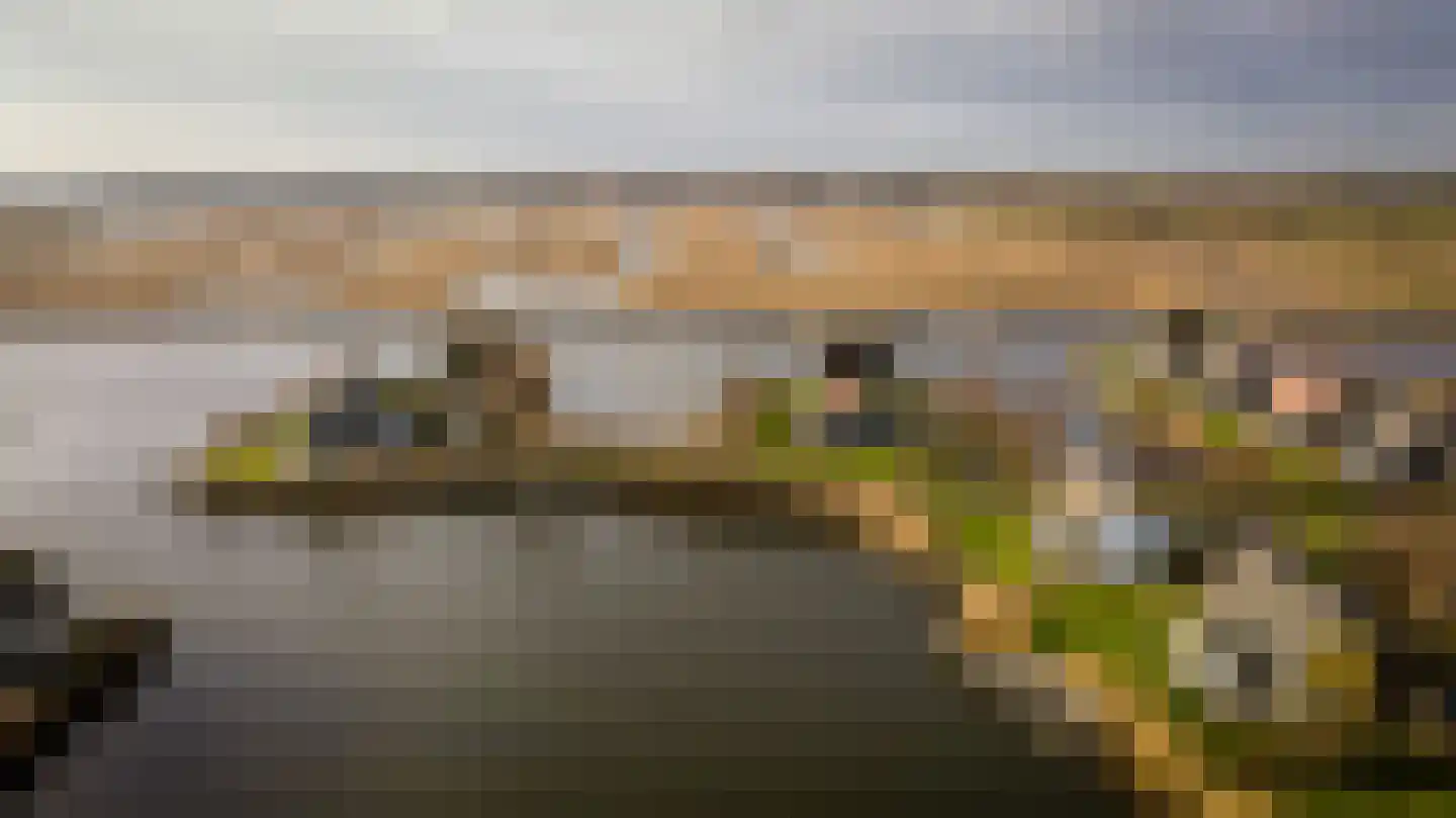 Jonenweg 5 R 145 Giethoorn thumbnail 39