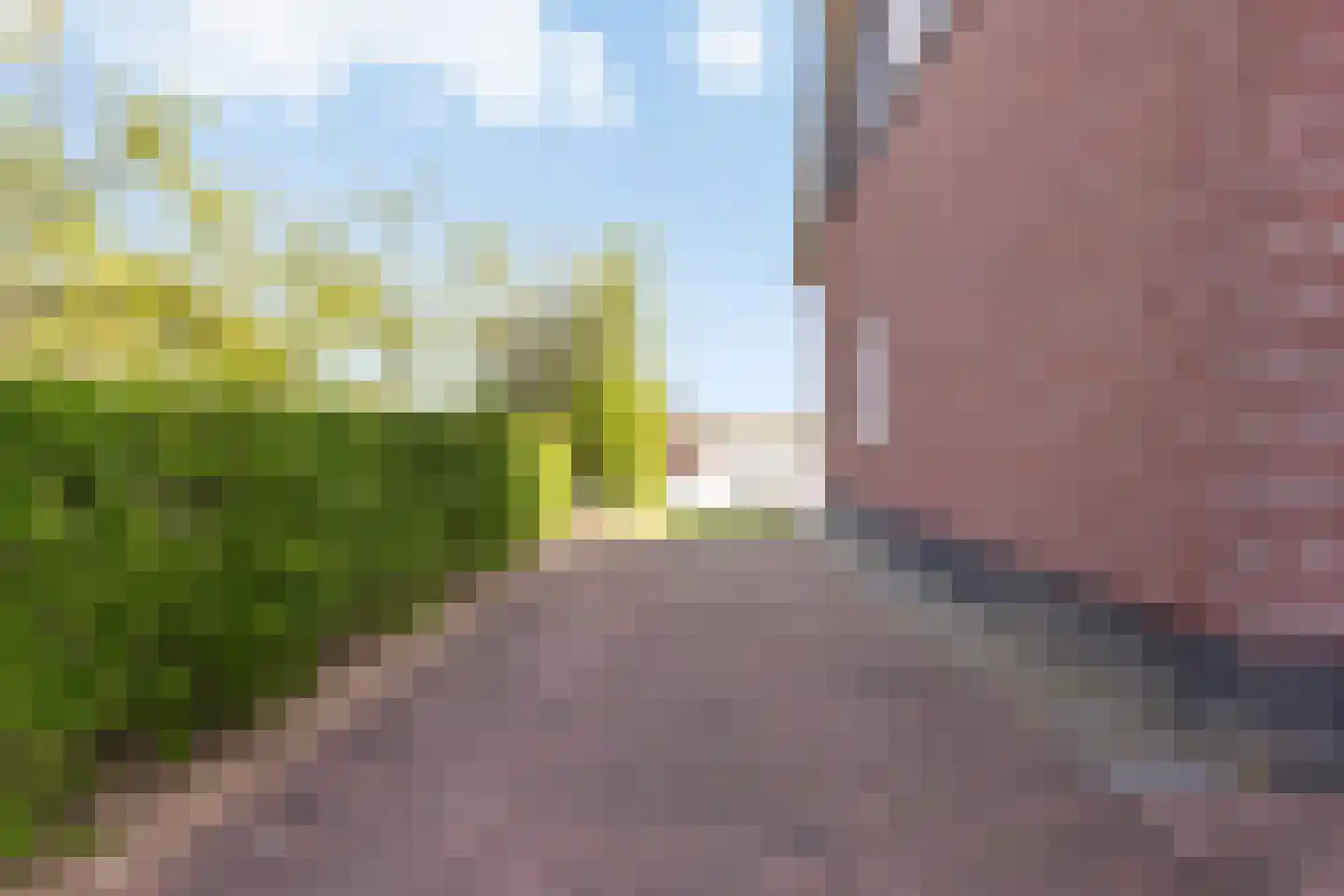 Jonenweg 5 R 423 Giethoorn thumbnail 39