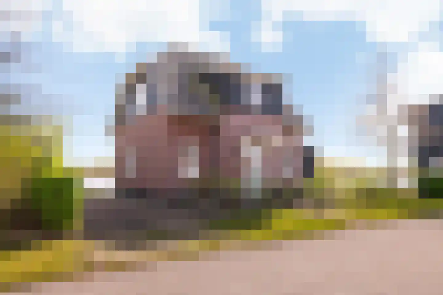 Jonenweg 5 R 423 Giethoorn thumbnail 46