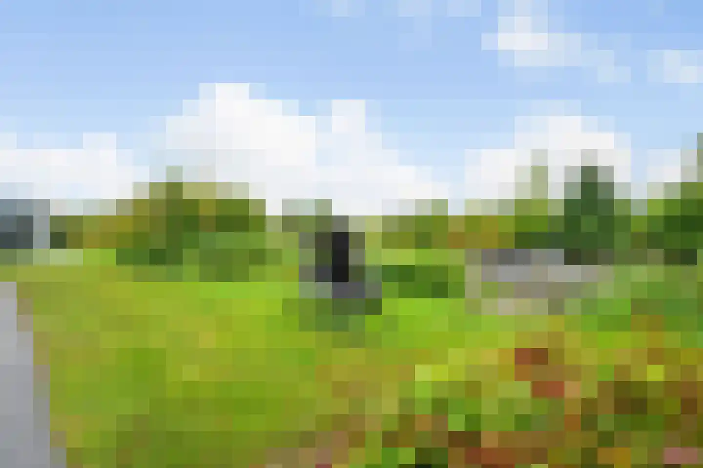 Jonenweg 5 R 528 Giethoorn thumbnail 17
