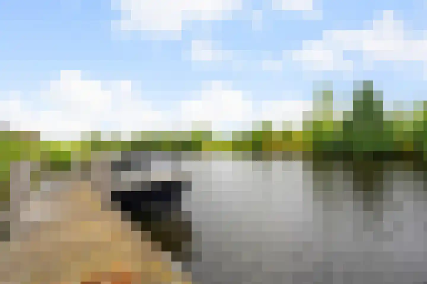 Jonenweg 5 R 528 Giethoorn thumbnail 21