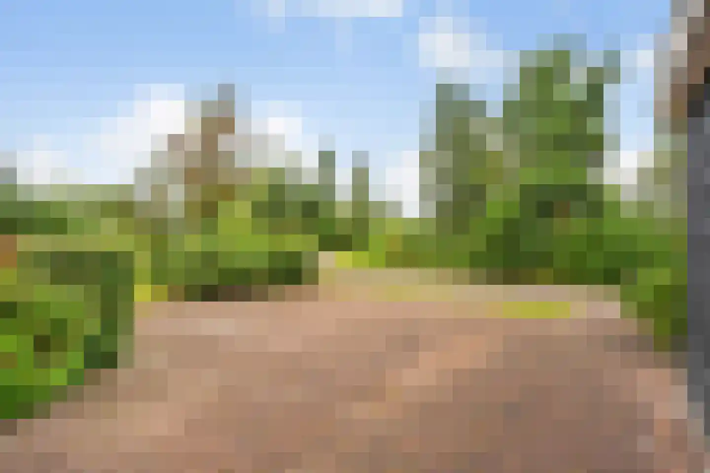 Jonenweg 5 R 528 Giethoorn thumbnail 22