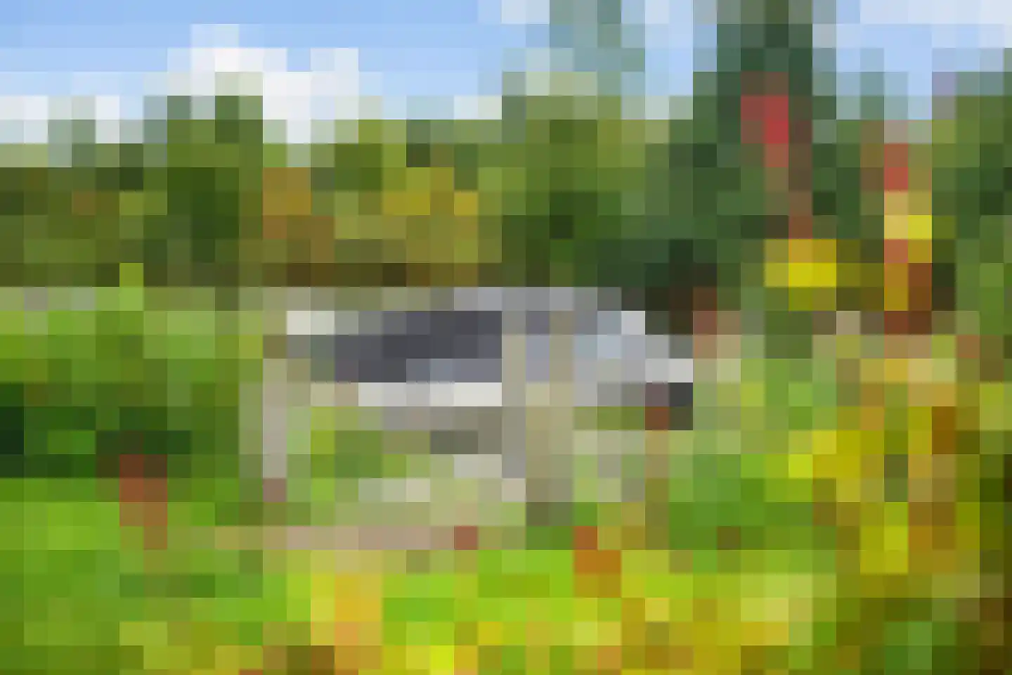 Jonenweg 5 R 528 Giethoorn thumbnail 5