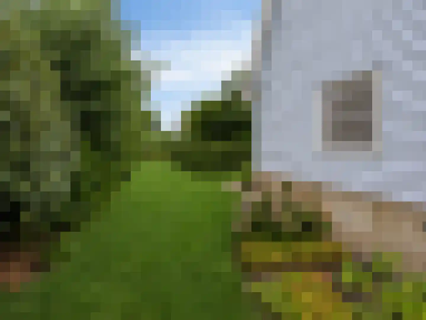 Jonenweg 5 R 530 Giethoorn thumbnail 47