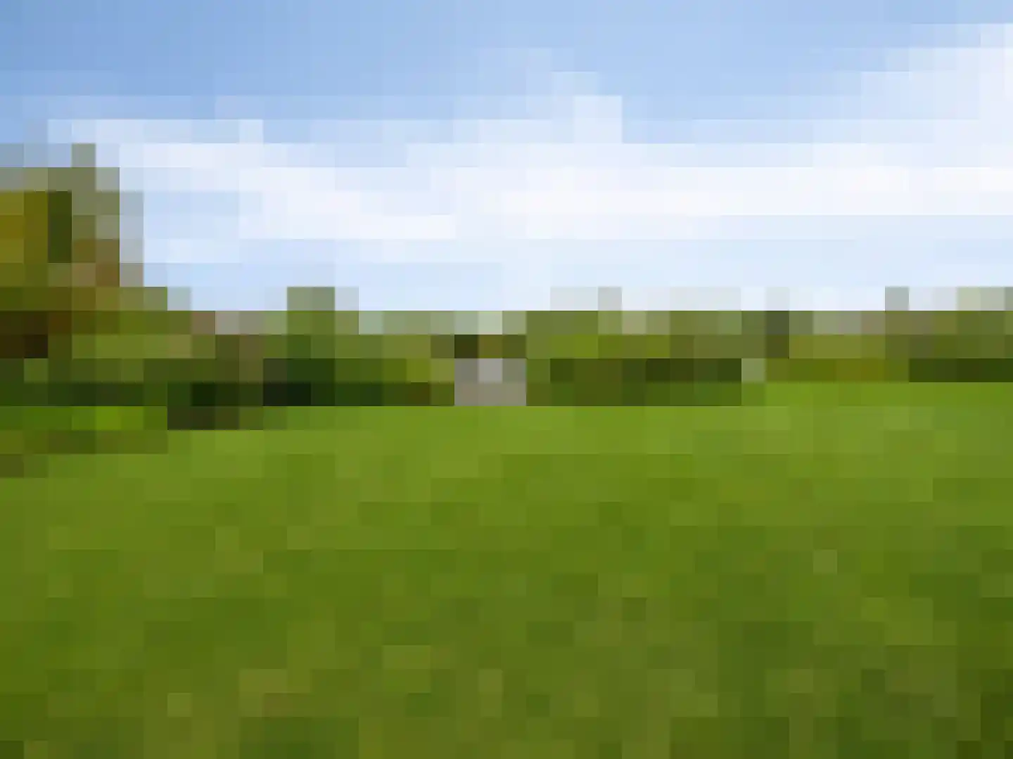Jonenweg 5 R 530 Giethoorn thumbnail 51