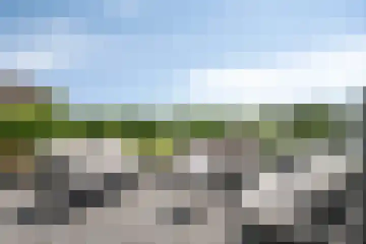 Jonenweg 5 R 535 Giethoorn thumbnail 25