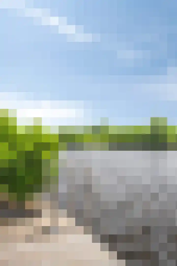 Jonenweg 5 R 535 Giethoorn thumbnail 28